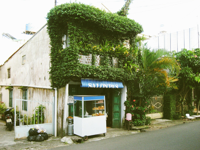 Bạn có thể thấy được những ngôi nhà nhỏ nhắn xinh xắn thế này tại Bảo Lộc với giàn cây phủ xanh khắp nhà.