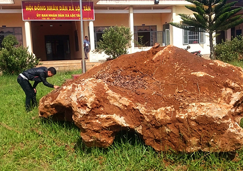 Tảng đá lạ đang được giữ tại trụ sở UBND xã Lộc Tân. Ảnh: Khánh Hương