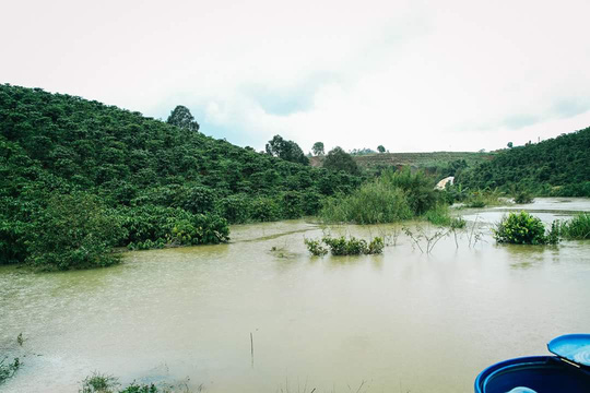 Nước ngập sâu cây trồng và đường dân sinh kéo dài hơn 2 tháng, thiệt hại nặng nề.