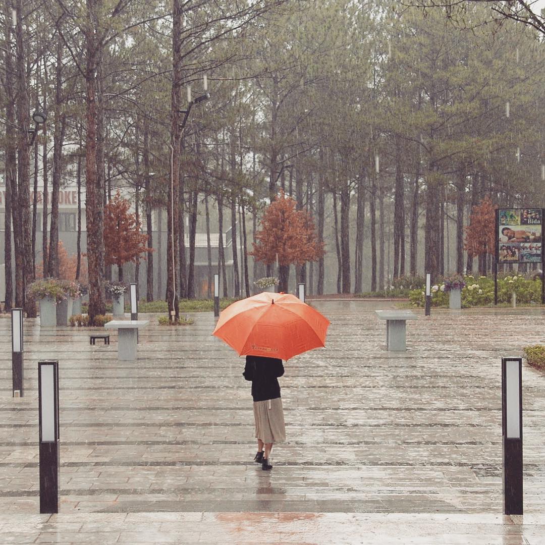 Chiều mưa Đà Lạt,mà cứ ngỡ như đang ở Seoul. Ảnh: The Life Nomadic on Instagram