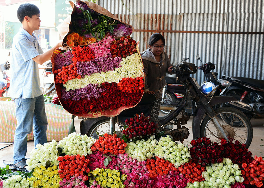 Thu mua hoa hồng tại vựa hoa Quỳnh Phương - Vạn Thành