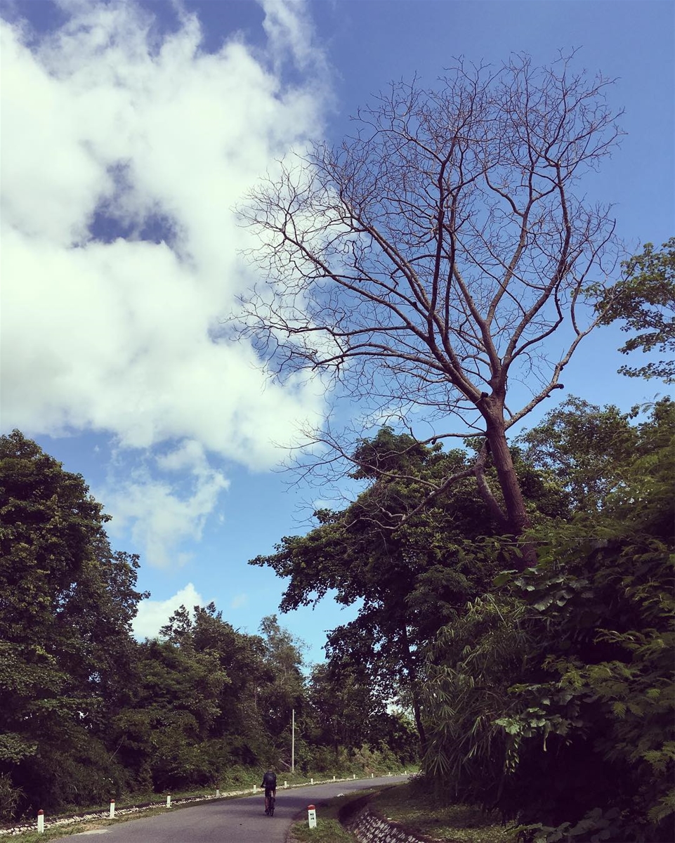 Vẻ đẹp yên bình giữa núi rừng, chẳng muốn quay về thành phố ồn ào nữa. Ảnh: Chu Phụng on Instagram. 