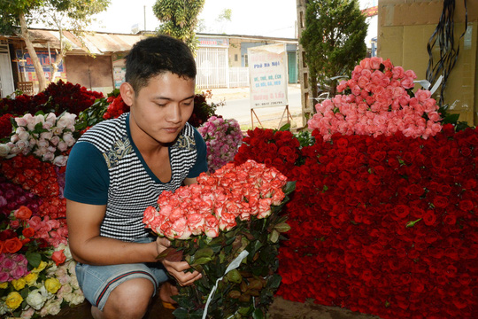 Các loại hoa hồng tại chủ vựa có giá 5.000 - 5.700 đồng/bông, tăng gấp 3 lần ngày thường.