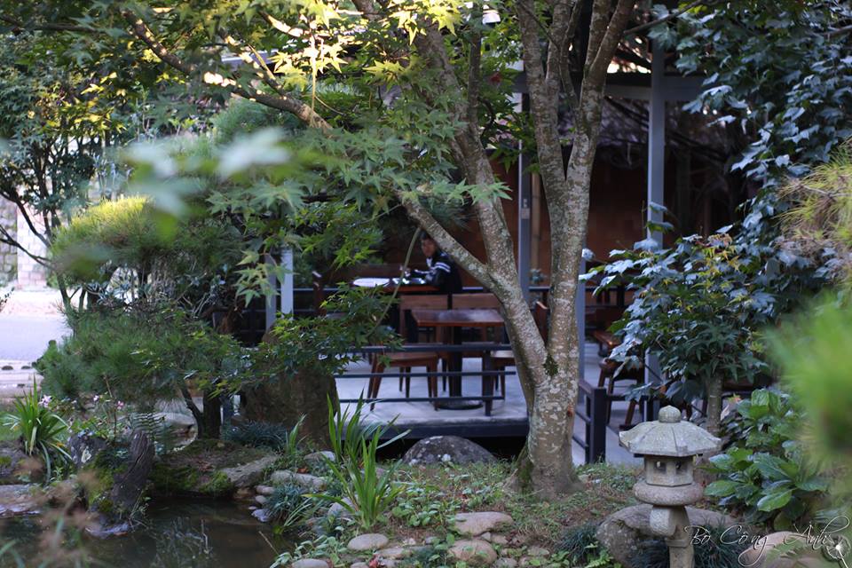Đến Đà Lạt ghé Zen Garden Coffee để cảm nhận một không gian kết hợp giữa cà phê và khung cảnh thiên nhiên thiết kế theo phong cách vườn thiền Nhật Bản. Ảnh: Bồ Công Anh