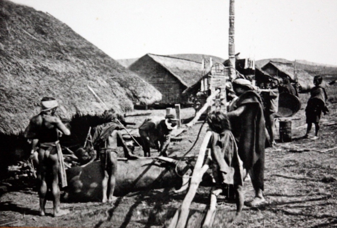 Cảnh lễ đâm trâu ở buôn Đan Kia (dưới chân núi Lang Biang) vào năm 1905. Đây là một lễ hội mang đậm bản sắc của các dân tộc Tây Nguyên. 