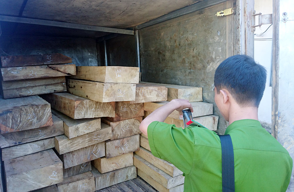 Số gỗ dổi trên xe “vá vỏ lưu động” bị bắt giữ tại Công an xã Lộc Bảo