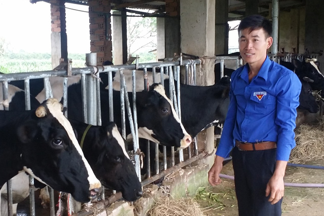 Anh Đỗ Hữu Quyết bên trang trại bò sữa của gia đình mình