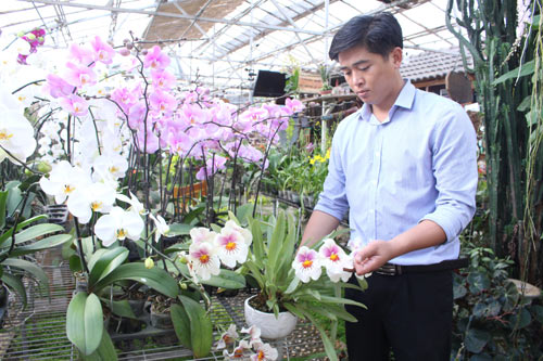 Phan Thanh Sang bên các loại hoa phong lan do anh nghiên cứu, lai tạo... Ảnh: Q.H
