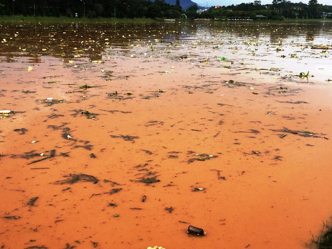 Nước hồ có màu đỏ quạch sau cơn mưa